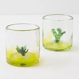 Anthropologie Cantina DOF Cactus 🌵 Glasses, Set of 4